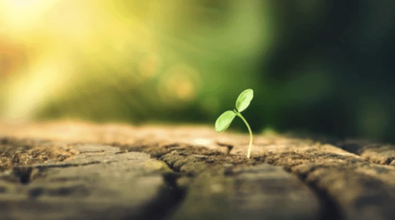 Norouz 2026 (1405): A New Day, A New Chapter